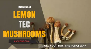 Lemon Tek Mushrooms: Optimal Duration for Enhanced Effects Explained