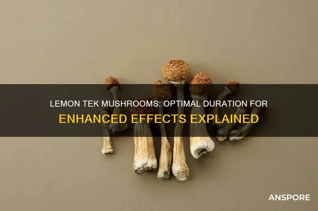 how long do i lemon tec mushrooms