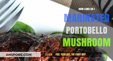 Perfect Portobello Marinade: Timing Tips for Juicy, Flavorful Mushrooms
