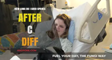 C. Diff Spore Shedding Duration: What You Need to Know