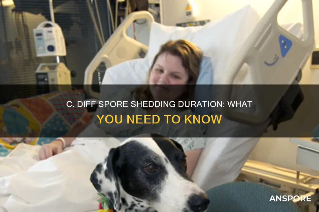 how long do i shed spores after c diff