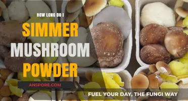 Simmering Mushroom Powder: Perfect Timing for Rich, Earthy Flavor