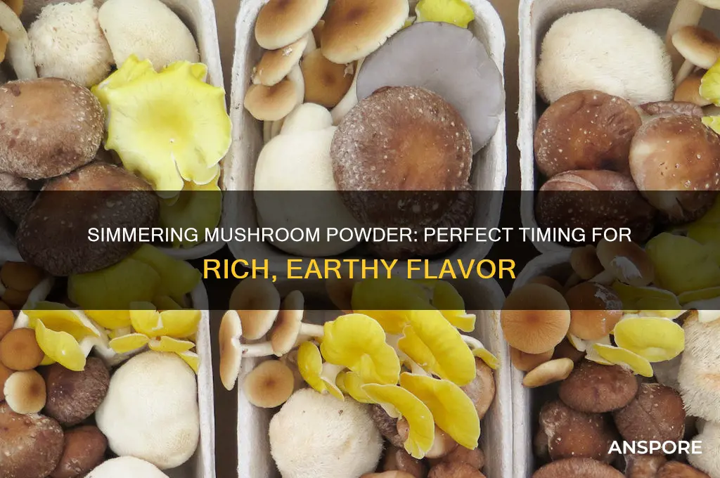 how long do i simmer mushroom powder
