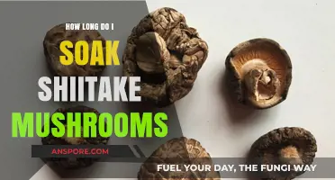 Perfect Shiitake Soaking: Timing Tips for Optimal Texture and Flavor