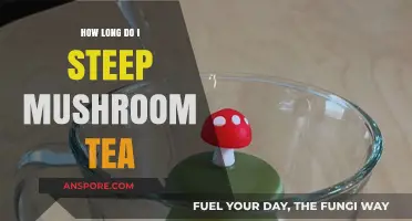 Perfect Mushroom Tea: Optimal Steeping Times for Rich Flavor and Benefits