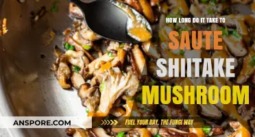 Perfectly Sautéed Shiitake Mushrooms: Timing Tips for Ideal Texture