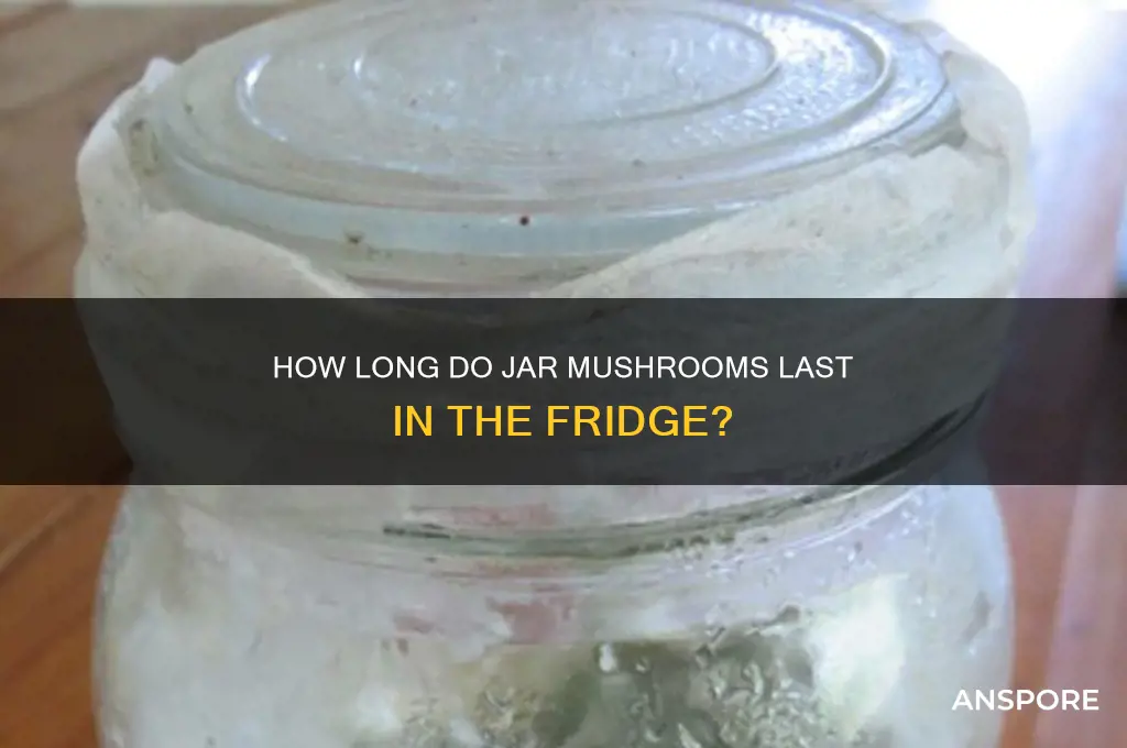 how long do jar mushrooms last in the fridge