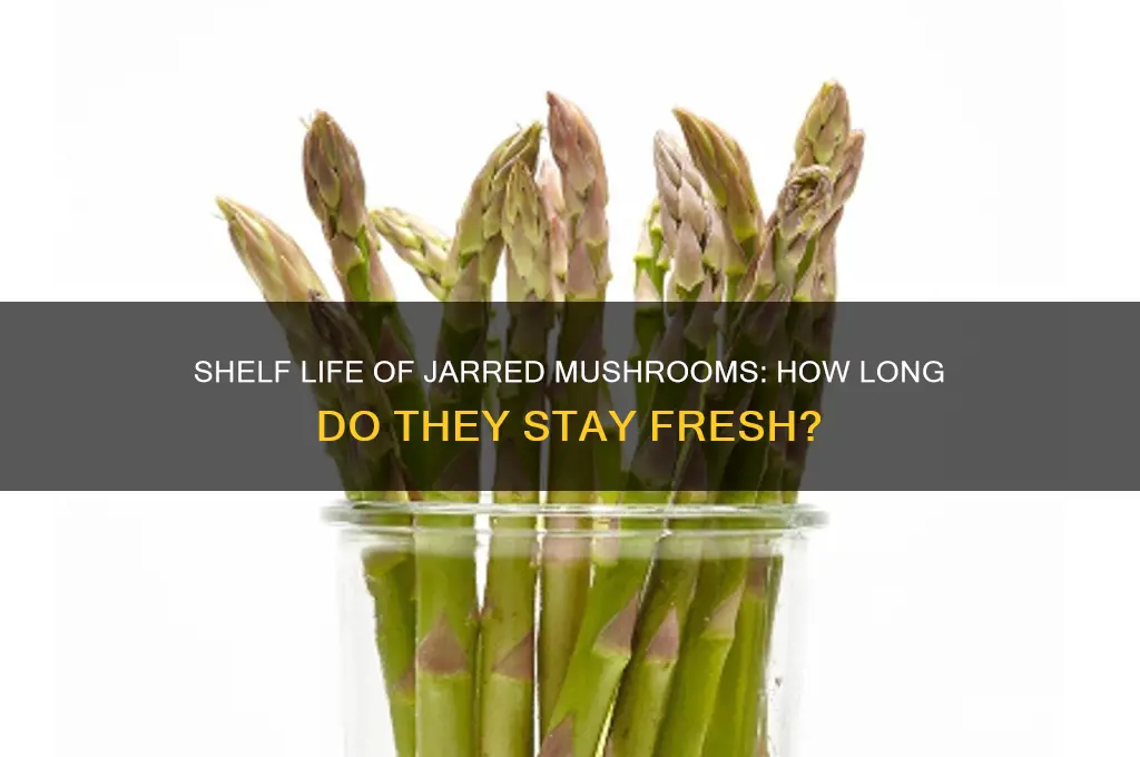 how long do jarred mushrooms last