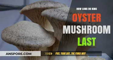 King Oyster Mushrooms Shelf Life: Storage Tips for Freshness