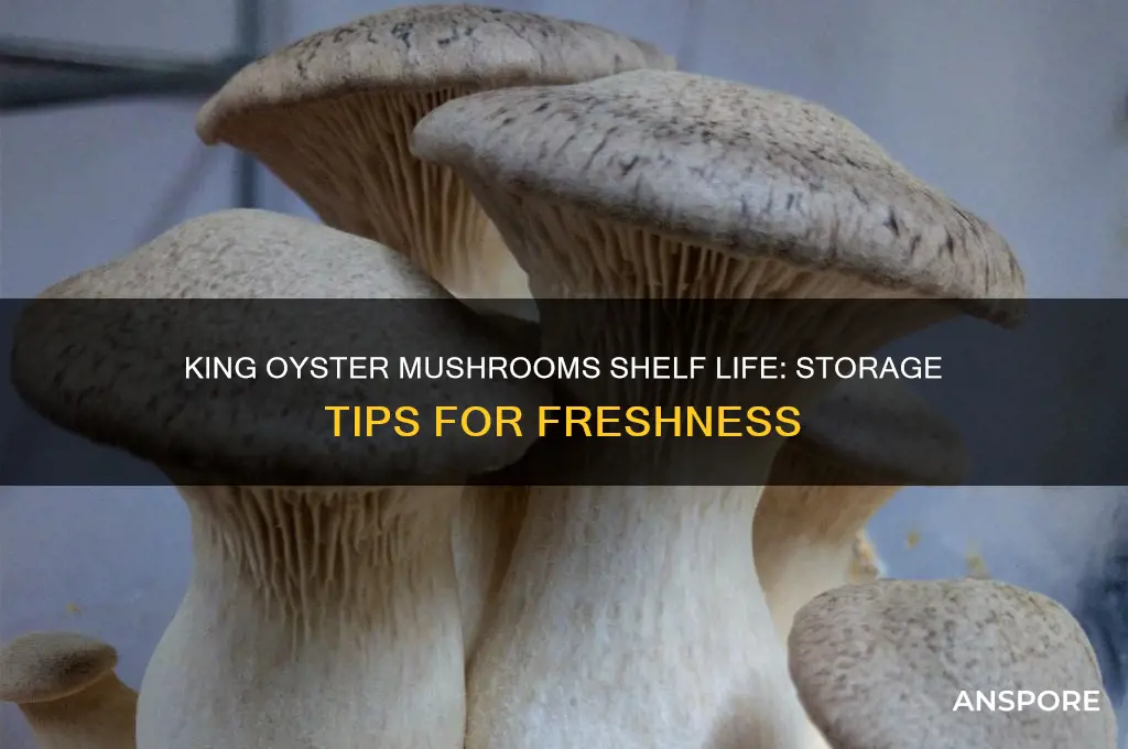 how long do king oyster mushrooms last