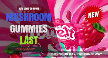 Legal Mushroom Gummies Shelf Life: Duration and Storage Tips