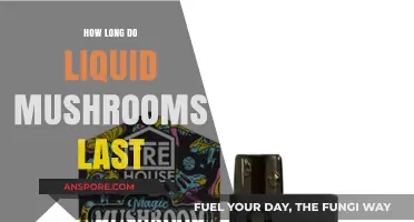 Liquid Mushrooms Shelf Life: How Long Do They Stay Potent?