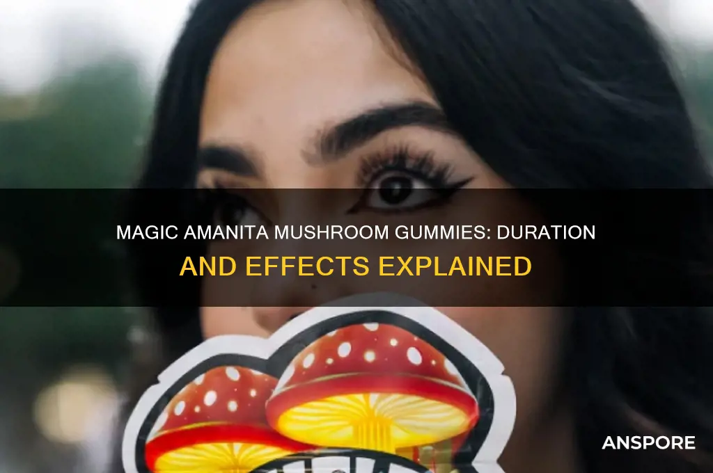 how long do magic amanita mushroom gummies last