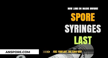 Magic Mushroom Spore Syringe Shelf Life: Duration and Storage Tips