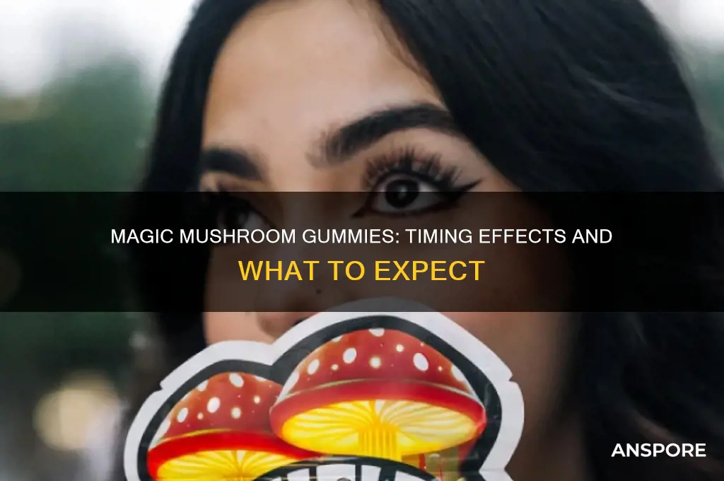 how long do magic mushroom gummies take to hit