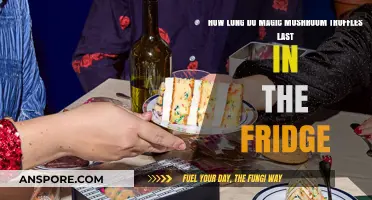 Magic Mushroom Truffles Shelf Life: Fridge Storage Duration Explained