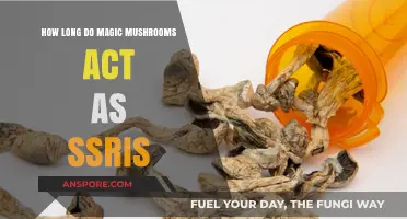 Magic Mushrooms vs. SSRIs: Duration of Effects Compared