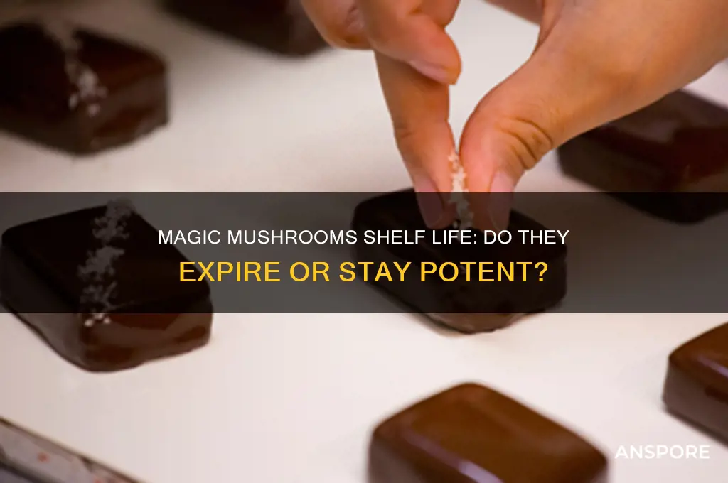 how long do magic mushrooms expire