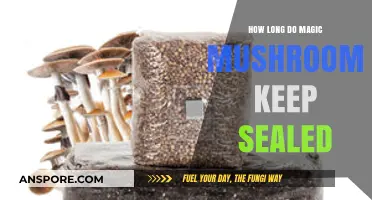 Sealed Magic Mushrooms: Shelf Life and Storage Tips Explained