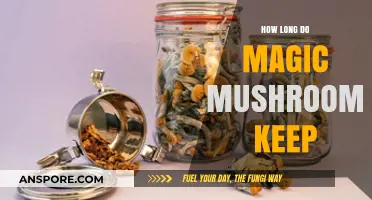 Magic Mushrooms Shelf Life: How Long Do They Stay Potent?