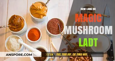 Magic Mushrooms Shelf Life: How Long Do They Last?