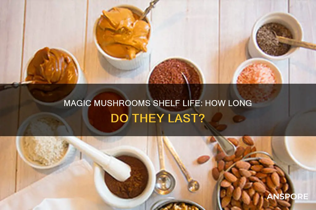 how long do magic mushrooms ladt