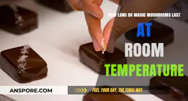 Magic Mushrooms Shelf Life: How Long Do They Last at Room Temperature?