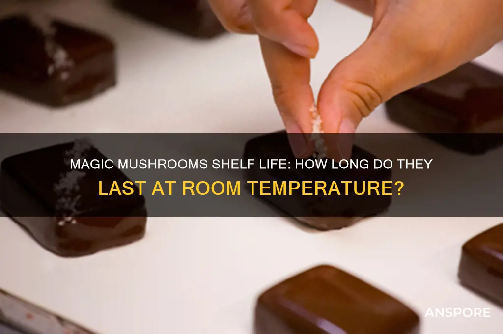 how long do magic mushrooms last at room temperature