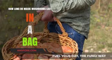 Magic Mushrooms Shelf Life: How Long Do They Last in Storage?