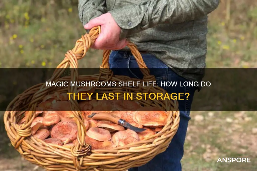how long do magic mushrooms last in a bag
