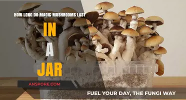 Preserving Psilocybin: Magic Mushrooms' Shelf Life in a Jar Explained