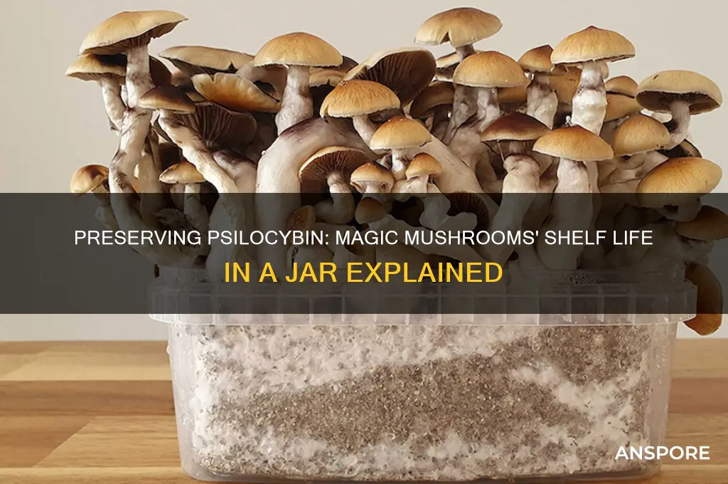 how long do magic mushrooms last in a jar