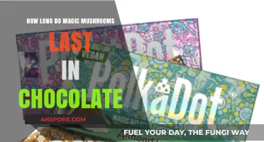 Magic Mushrooms in Chocolate: Duration and Storage Tips