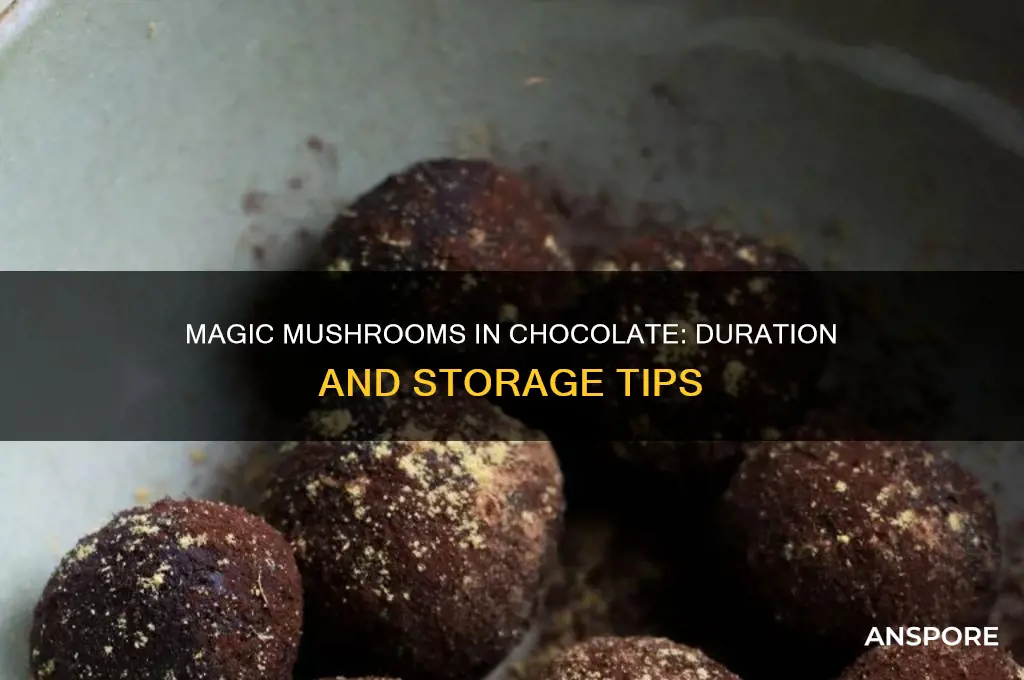 how long do magic mushrooms last in chocolate