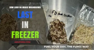 Freezing Magic Mushrooms: Shelf Life and Storage Tips for Longevity