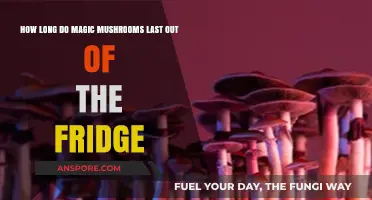 Magic Mushrooms Shelf Life: How Long Do They Last Unrefrigerated?