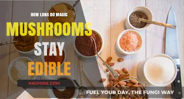 Magic Mushrooms Shelf Life: How Long Do They Stay Edible?