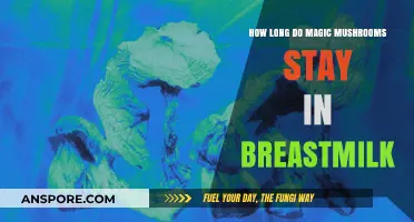 Magic Mushrooms in Breastmilk: Duration and Safety Concerns Explored