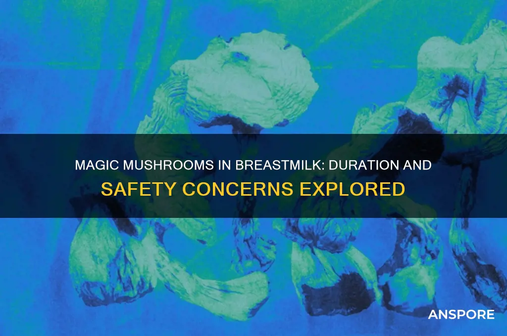 how long do magic mushrooms stay in breastmilk