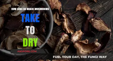 Drying Magic Mushrooms: Optimal Time and Techniques for Perfect Preservation