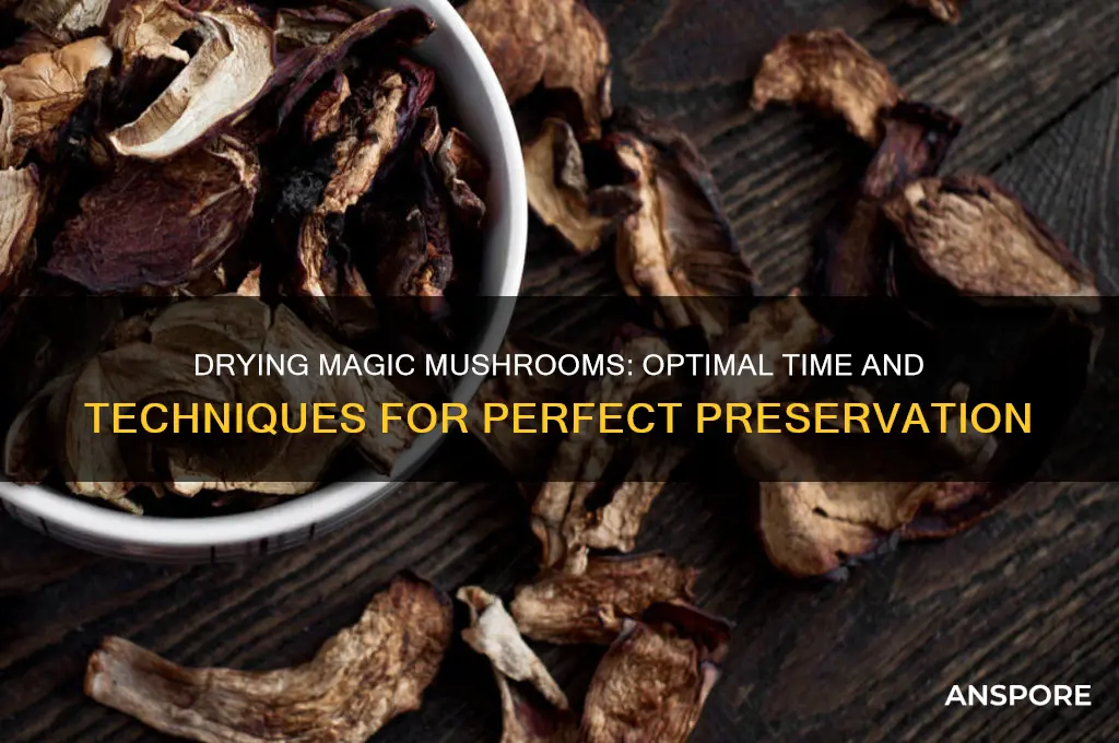 how long do magic mushrooms take to dry