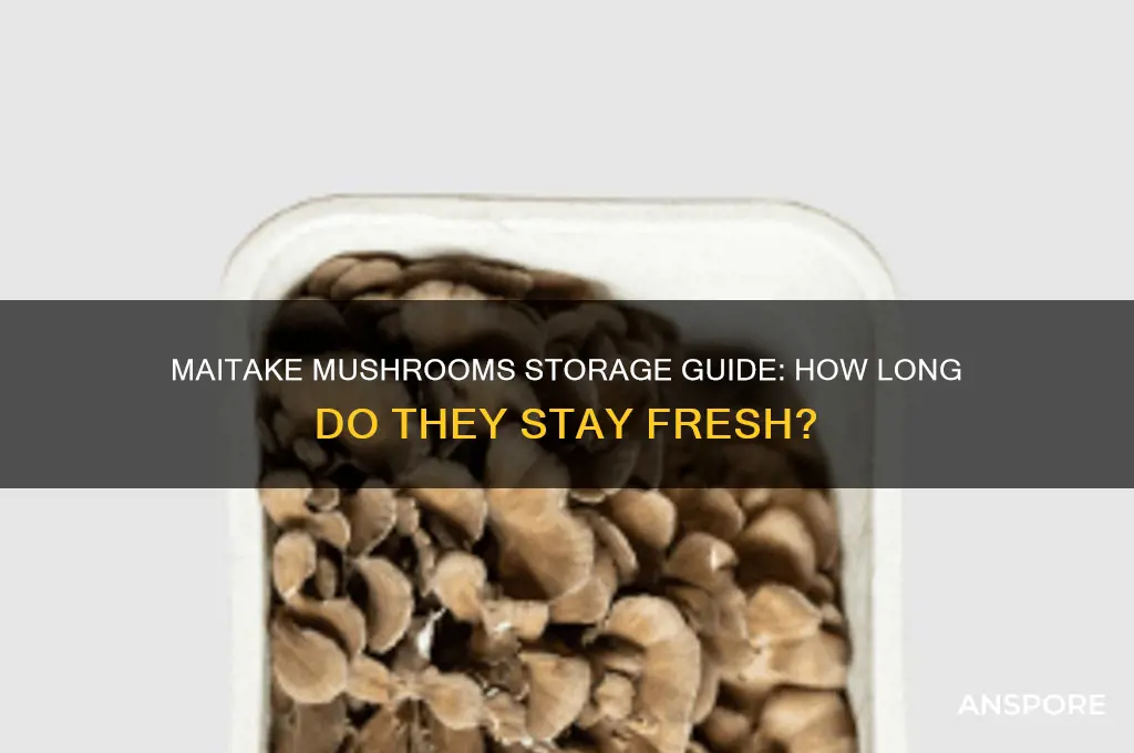 how long do maitake mushrooms keep