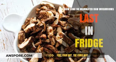Marinated Raw Mushrooms: Fridge Storage Lifespan and Freshness Tips