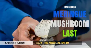 Meringue Mushrooms Shelf Life: Storage Tips for Freshness and Longevity