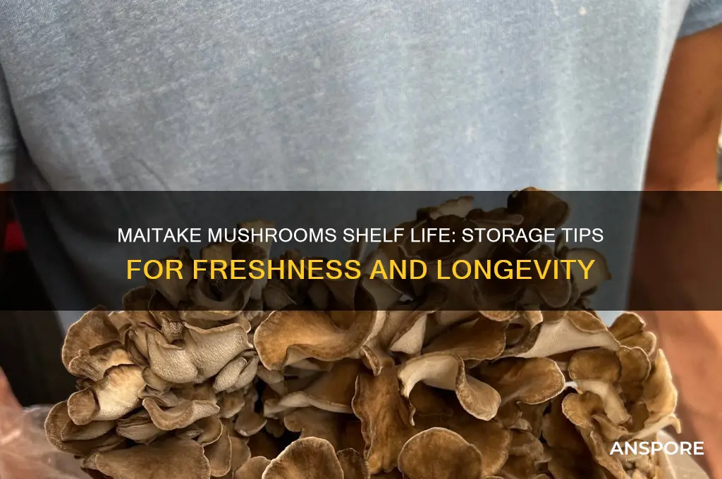 how long do miatake mushrooms last