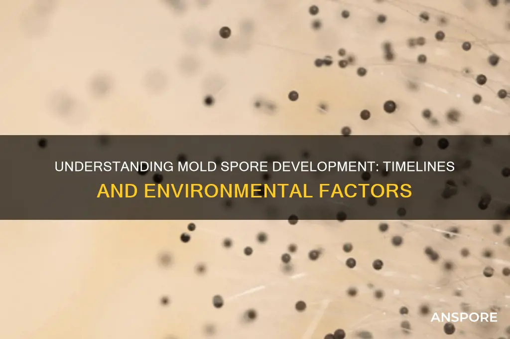 how long do molds take to spore