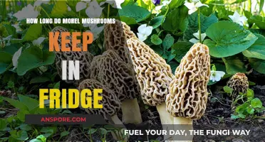 Storing Morel Mushrooms: Fridge Lifespan and Freshness Tips