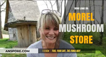 Storing Morel Mushrooms: Tips for Longevity and Freshness