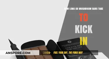 When Do Mushroom Bars Kick In? Timing and Effects Explained