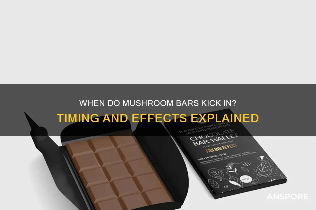 how long do mushroom bars take to kick in